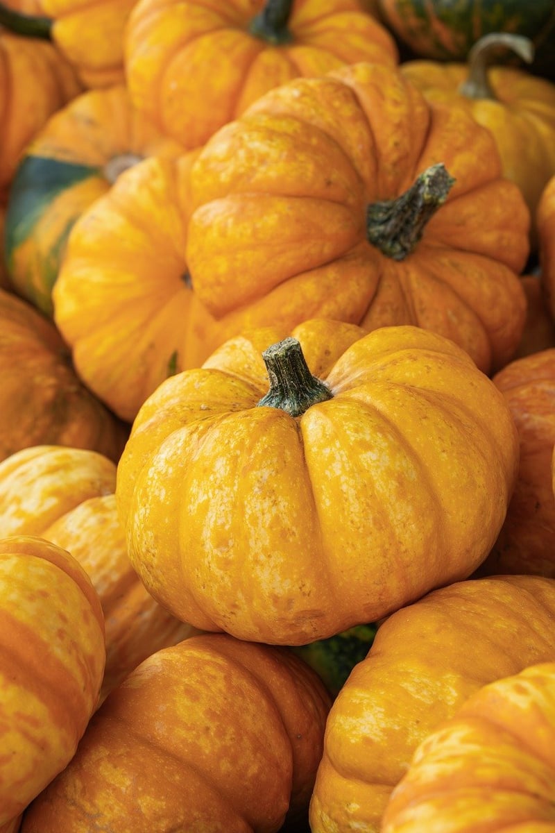 Seasonal Produce